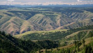 photo of Blue Mountains of NE Oregon, SE Washington